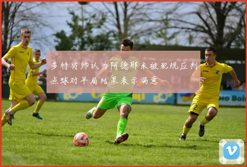 多特将帅认为阿德耶米被犯规应判点球对平局结果表示满意