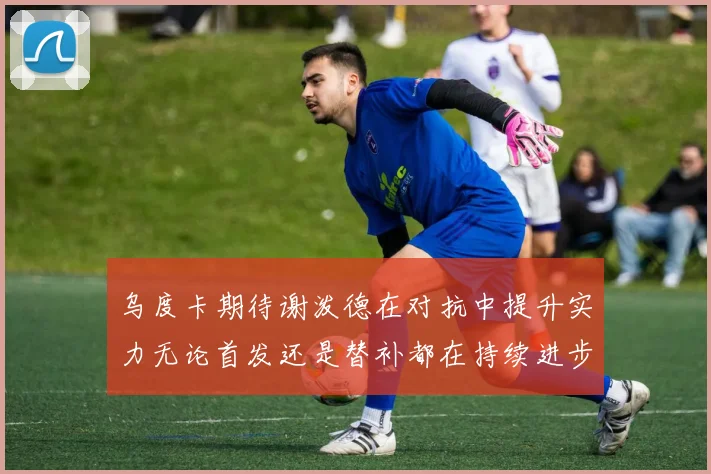 乌度卡期待谢泼德在对抗中提升实力无论首发还是替补都在持续进步
