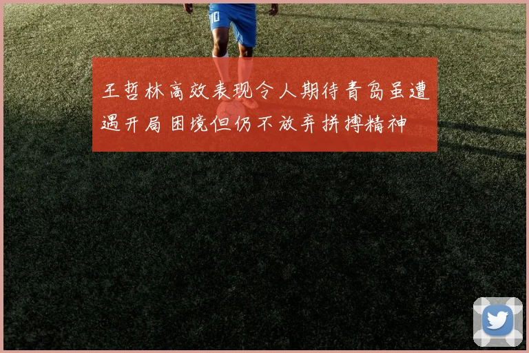 王哲林高效表现令人期待青岛虽遭遇开局困境但仍不放弃拼搏精神