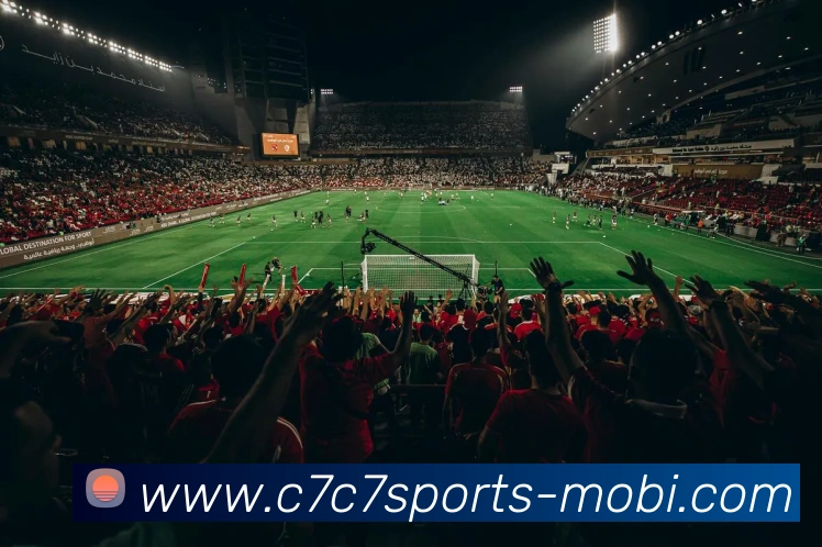 C7C7娱乐品牌故事