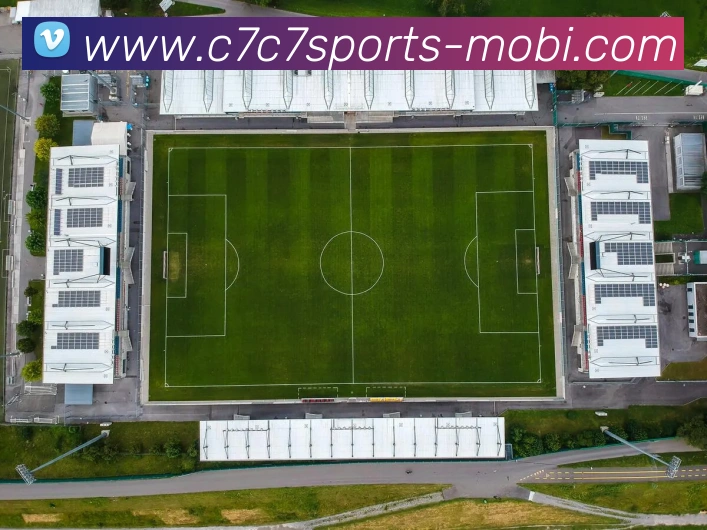 C7C7娱乐服务体系